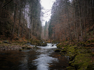 View to the river on the valley full of colorful leaves and deep atmosphere totally without any people.