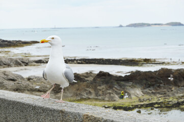 Saint-Malo, France