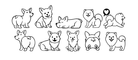Dogs corgi and spitz big set. Cute dogs in different poses in line