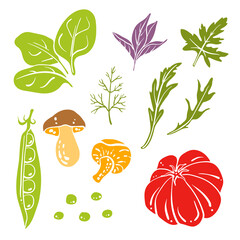 Spinach, beef tomato, mushrooms, herbs. Colorful sketch collection of vegetables isolated on white background. Doodle hand drawn vegetable icons. Vector illustration