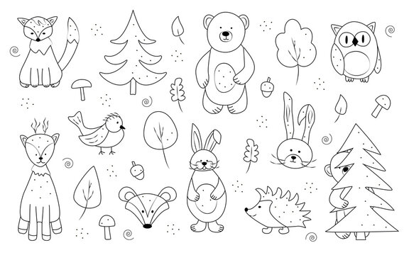 Vector set of drawings of forest animals, doodle style, a set of elements for coloring. Bear fox owl hare hedgehog badger trees.