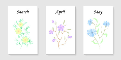 Beautiful flowers that symbolize spring. Drawn botanical elements. Suitable for cover, invitation, banner, poster, brochure, poster, postcard, flyer, social media stories and more.