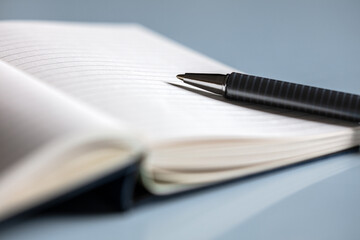 Book and pen on blue background, calendar or agenda organizer, open