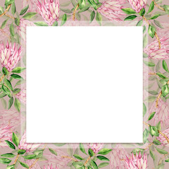 frame with delicate watercolor tropical flowers protea, hand painted illustration