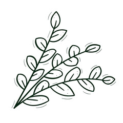 A bush of three branches, leaves wide at the base. Doodle sketch outline black and white. Isolated vector drawing on a white.