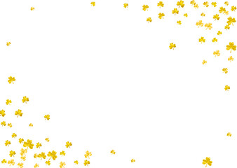 Shamrock background for Saint Patricks Day.  Lucky trefoil confetti. Glitter frame of clover leaves. Template for voucher, special business ad, banner. Festive shamrock background.