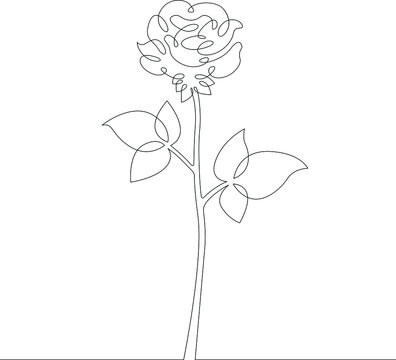 Flower plant rose. Rose petals and leaves bud.  One continuous drawing line  logo single hand drawn art doodle isolated minimal illustration.