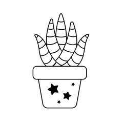 Vector cactus in potted plant. Cactus A variety of succulent plants that are popular to grow