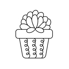 Vector cactus in potted plant. Cactus A variety of succulent plants that are popular to grow
