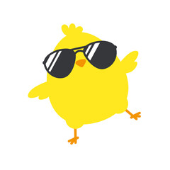 Newborn chick with glasses coming out of eggs isolated on background.