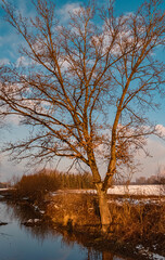 Beautiful winter sunset near Aicha, Danube, Bavaria, Germany