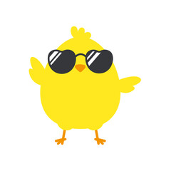 Newborn chick with glasses coming out of eggs isolated on background.
