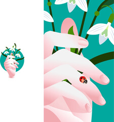 Close-up of a hand and fingers with a ladybug crawling over it and about to take off. A hand with bunch of snowdrops and ladybug.
Vector flower illustration. Floral spring poster
