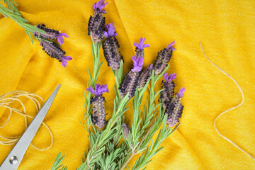 Lavender, medicinal plant, bouquets on yellow background. Zenith view.