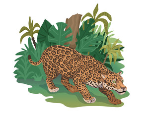 Leopard is hunting, hiding, or preparing to jump. Tropical plants on back, savanna animal, african spotted cat. Vector illustration
