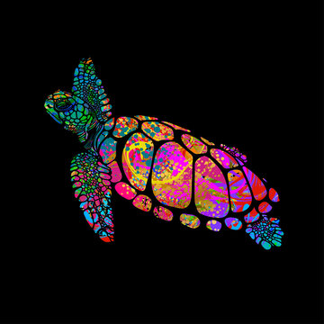 Tribal Sea Turtle Images – Browse 1,497 Stock Photos, Vectors, and ...