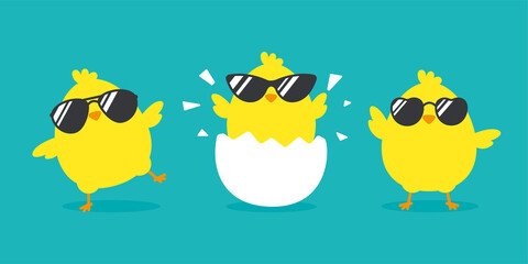 Newborn chick with glasses coming out of eggs isolated on background. © anuwat