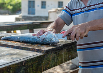 pescador limpando peixe fresco na beira da praia