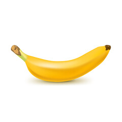 Realistic banana isolated on white background. Tropical fruit. Realistic vector illustration
