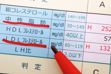 健康診断書　中性脂肪、コレステロールの異常
