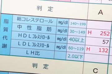 健康診断書　中性脂肪、コレステロールの異常