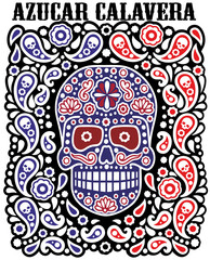 skull and paisley, vintage design t shirts