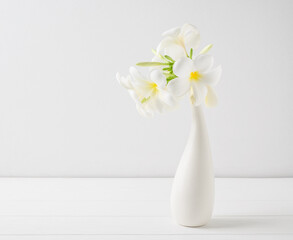 Beautiful Frangipani spa flower in modern ceramic white vase on wooden table white wall background