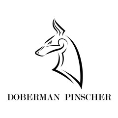 Black and white line art of Doberman Pinscher dog head. Good use for symbol, mascot, icon, avatar, tattoo, T Shirt design, logo or any design you want.