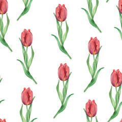 Watercolor Red Tulip pattern