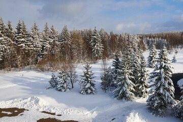 Winter 2021  in Sachsen