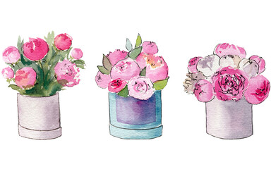 Watercolor illustration set of pink peonies in a gift box