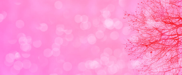 abstract background banner - pink, peach, rose blurred bokeh lights with branches and balls of sycamore, empty basis for the designer with sparkles, postcard, long panorama, concept Mother's Day