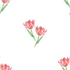 Watercolor pink Tulip pattern