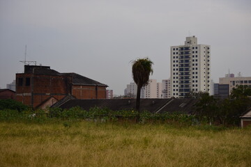 old abandoned factory