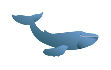 Happy blue whale animal illustration isolated