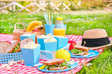 Lunch in the park on the green grass. Summer sunny day and picnic basket. Popcorn and sandwiches for a snack outdoors in nature. in bright plastic dishes on a checkered tablecloth . Copy space