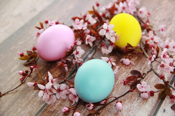 colorful easter eggs and branches of pink cherry sakura