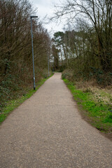 Fototapeta na wymiar A trail leading through a middle of a forest in Norfolk england with street lighting