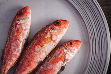 Fresh raw red mullet fishes