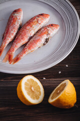 Fresh raw red mullet fishes