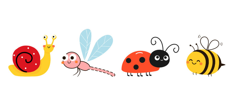 Snail, dragonfly, ladybug and bee on a white background vector illustration. Cute cartoon character.