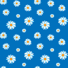 Chamomile seamless pattern on blue background. Cute summer flowers in cartoon style. Vector illustration.