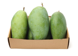 mangos on a white background 