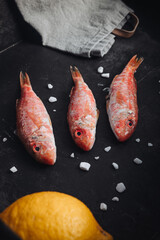 Fresh raw red mullet fishes
