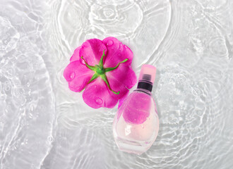 A bottle of perfume in pure waves of water. Flowers and delicate rose petals with drops of water. Flat lay, top view, copy space concept.
