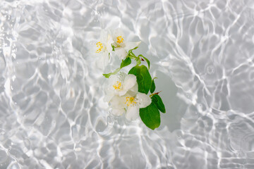 Beautiful jasmine petals macro with drop floating on surface of the water close up.