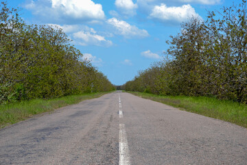 road in the countryside
