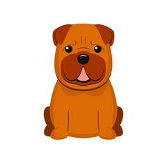 Shar Pei. Vector illustration of cute sitting dog in flat style. Isolated on white