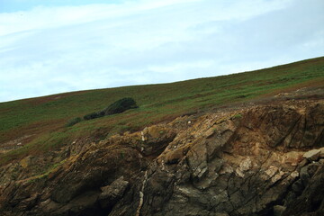 Fototapeta premium Isla Coelleira (Viveiro)