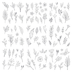 Floral doodle design elements. Hand drawn decorative leaves and wreaths. Flower ornament dividers. Tree branches with leaf and flowers.